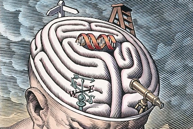 hastingscenter's tweet image. 📣 PET Bionews recently reviewed the first webinar in our Frontiers in the Ethics of Human Reproduction series: “Testing Embryos: How far should we go?” 🧬

🔗 Read the full review: bit.ly/4df8IXl

#ReproductiveEthics #EmbryoTesting #Genetics #ReproductiveTechnology