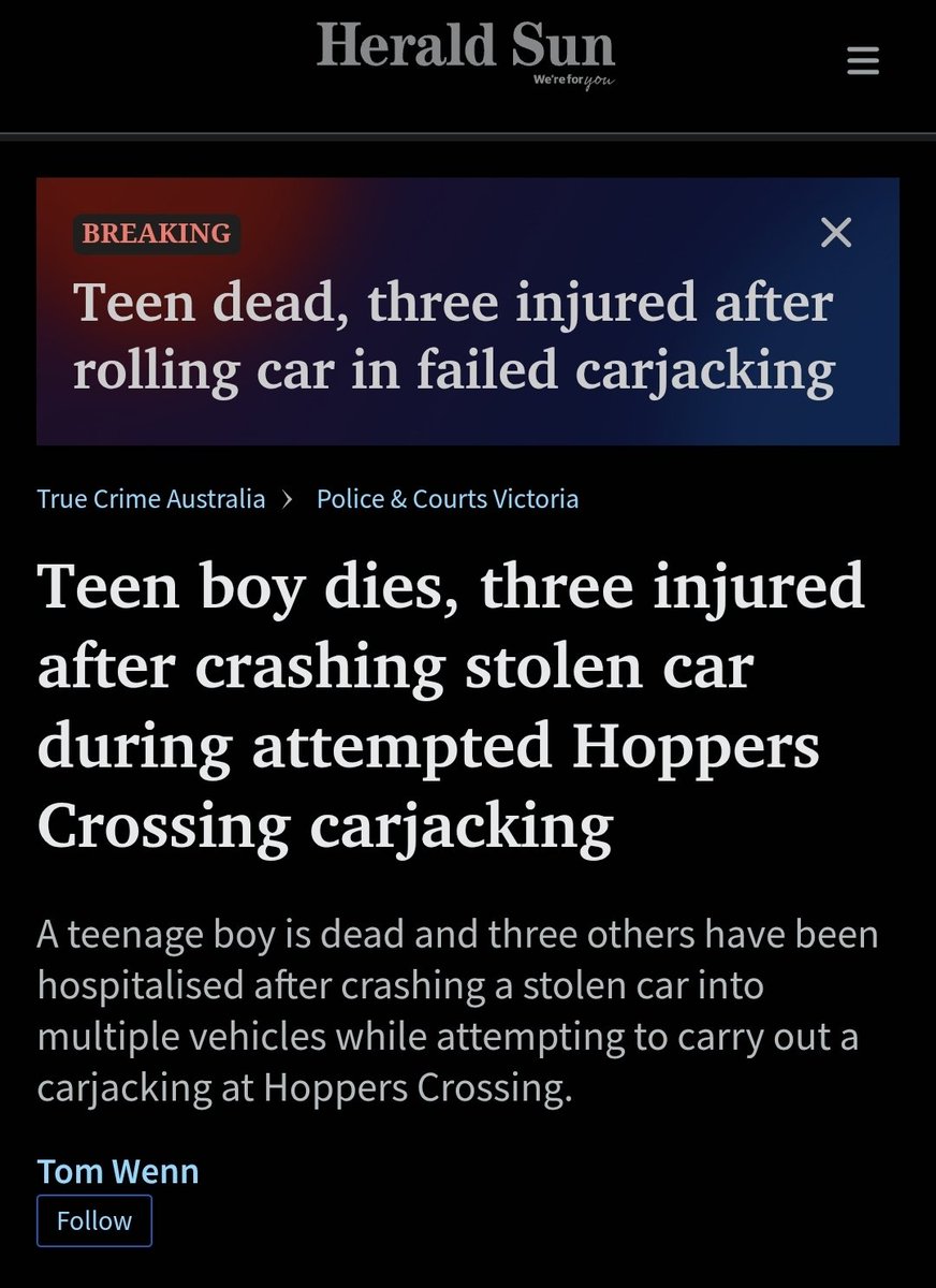 Kareeming 🇦🇺 🐴🐯 tweet media