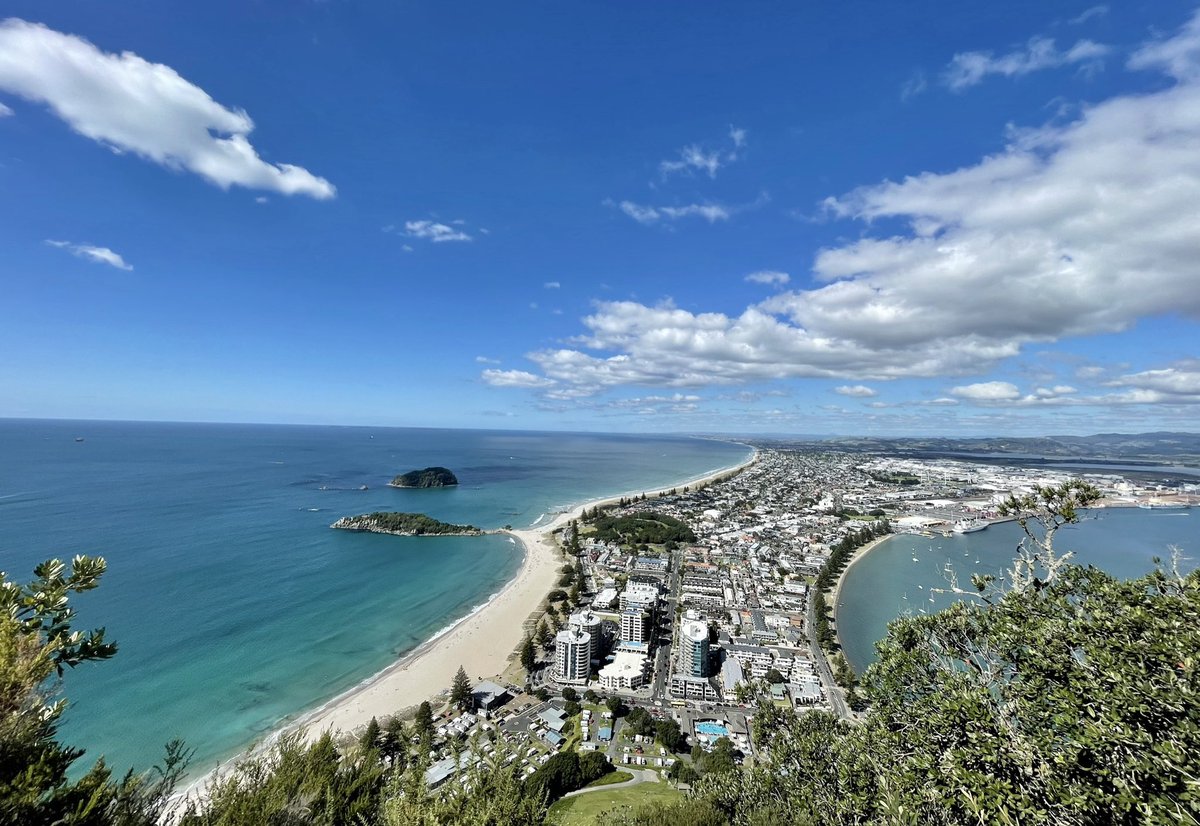 Scott J. Koster tweet media