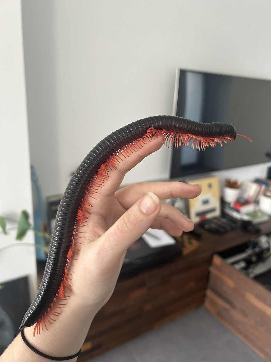 Pyruvate tweet media