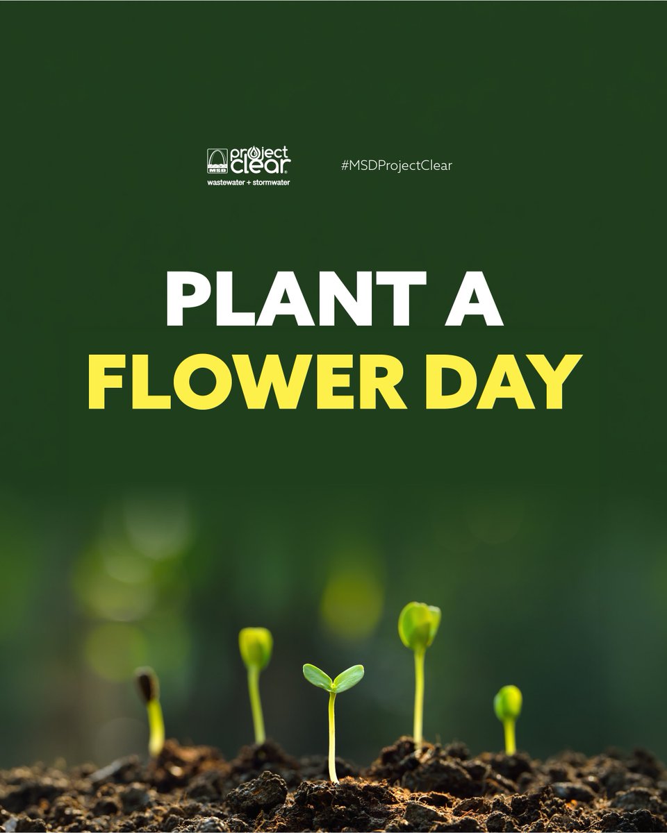 MSD Project Clear tweet media