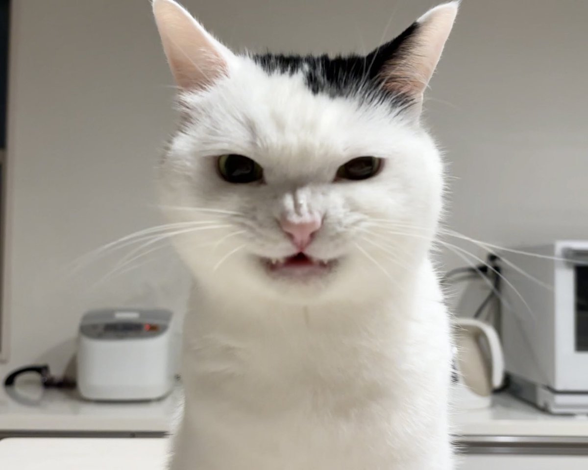 slugbread 💜 tweet media