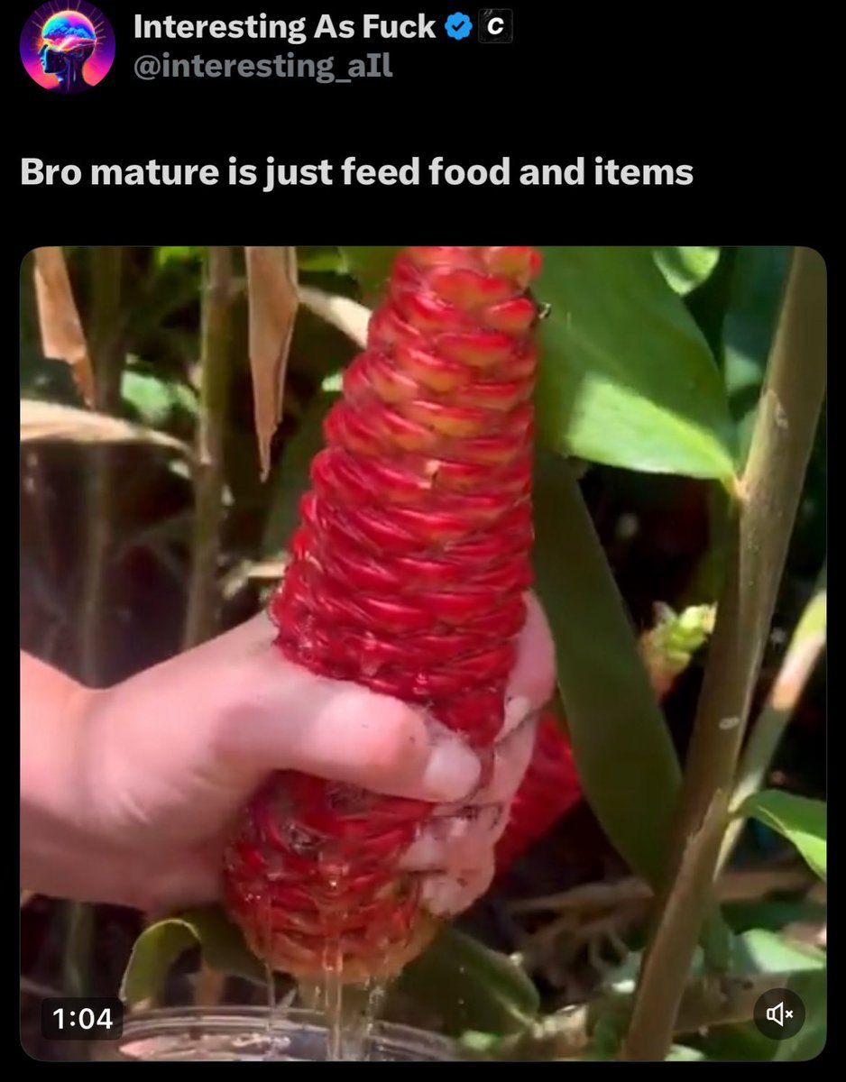 slugbread 💜 tweet media