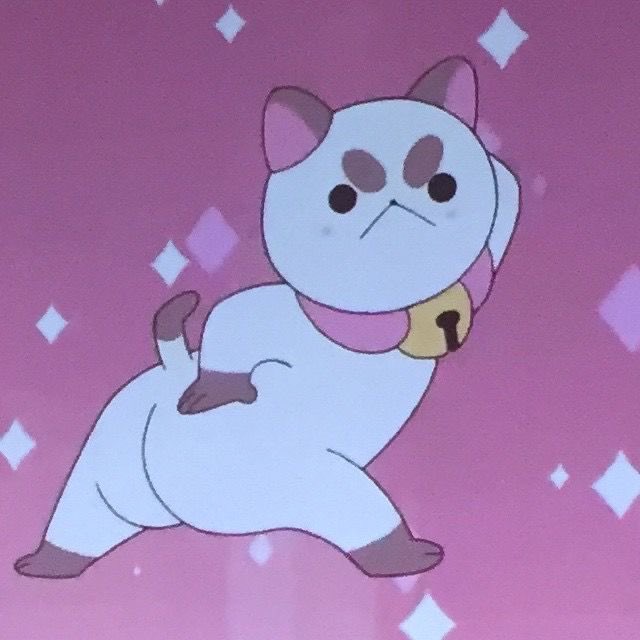 𝘗𝘶𝘱𝘱𝘺𝘤𝘢𝘵 .ᐟ☆彡 tweet media