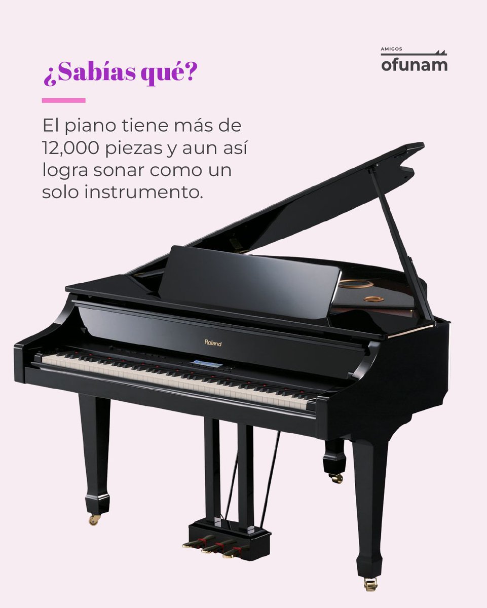 AmigosOFUNAM tweet media