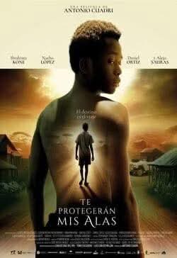 SSCC Cádiz tweet media