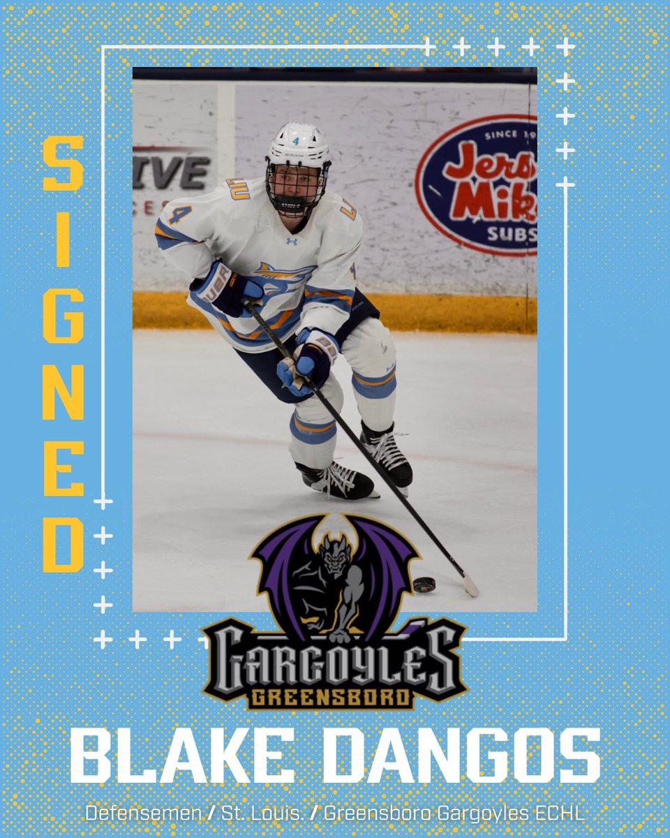 LIU Men’s Ice Hockey tweet media