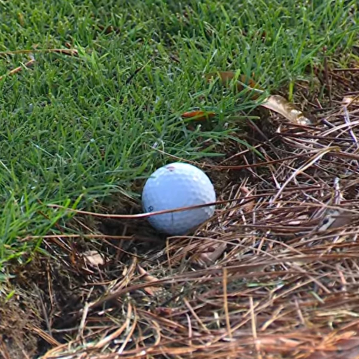Fried Egg Golf tweet media