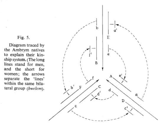 Society for Cultural Anthropology tweet media