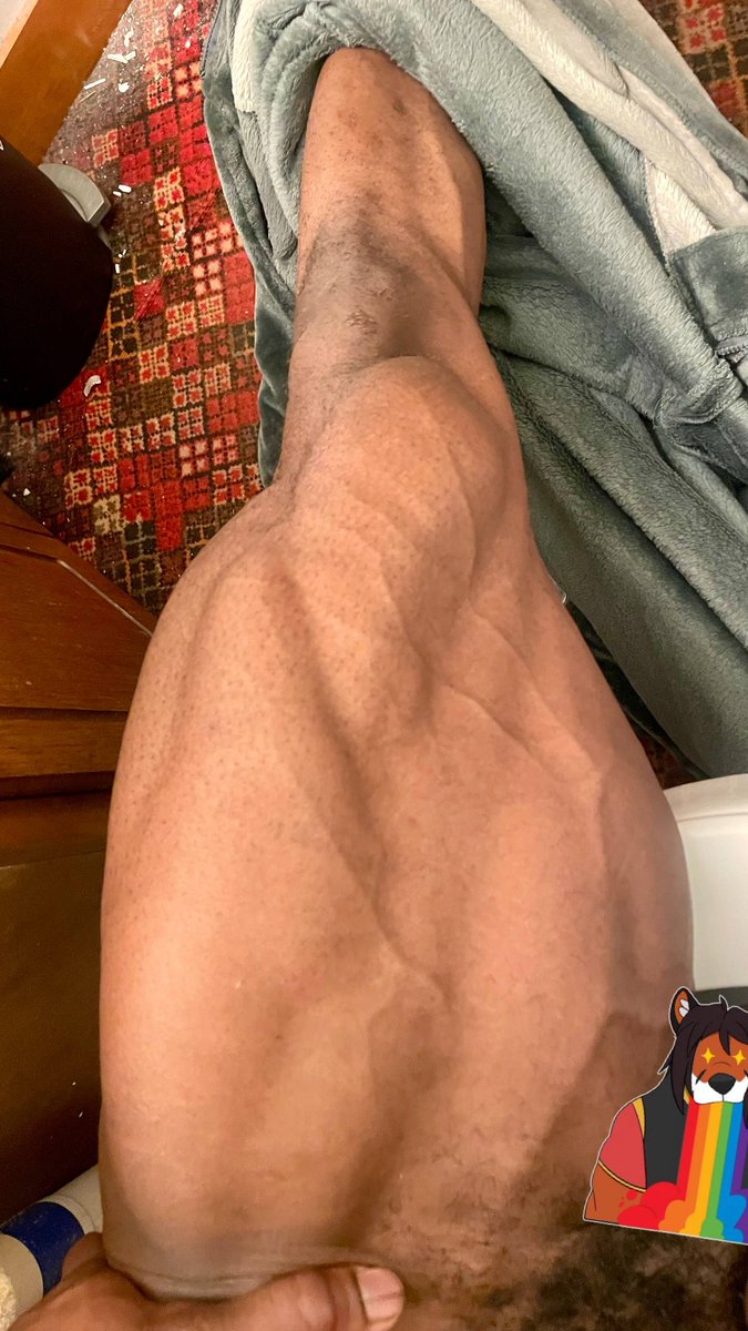 Jumbo Himbo 🦞🦊 tweet media