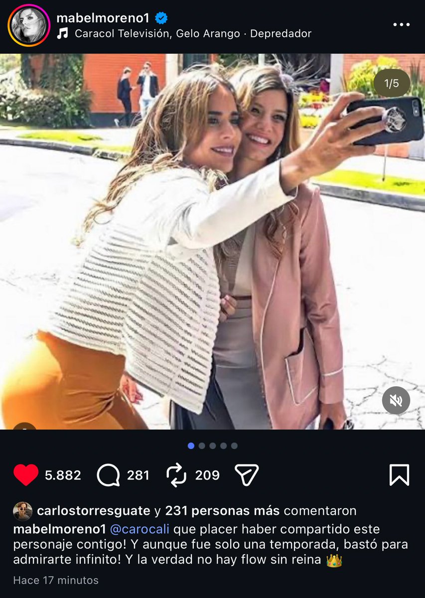 Pindterest💙 tweet media