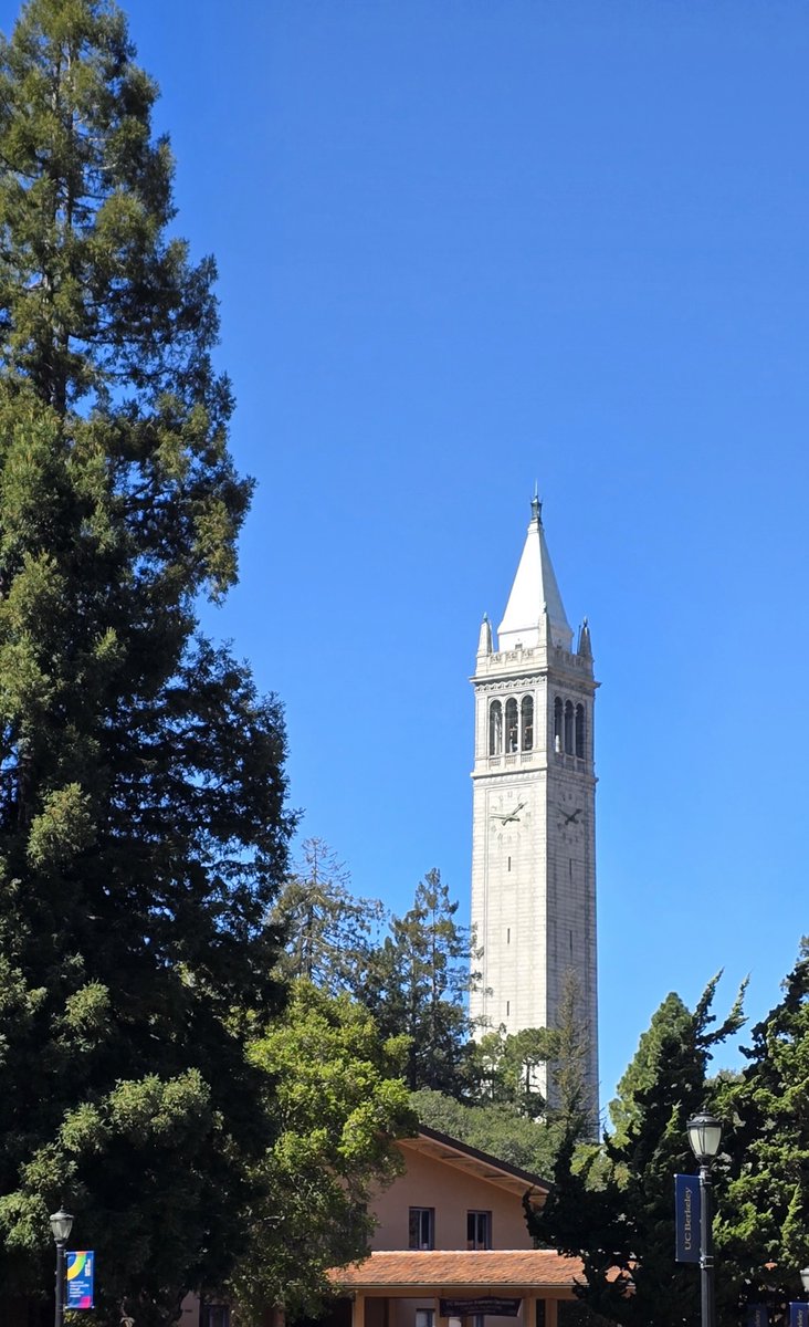 Tell The Whole Damn World! tweet media