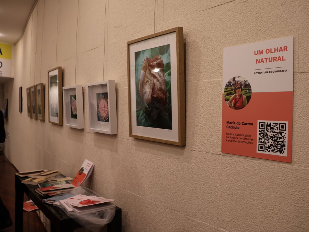 Ordem dos Médicos tweet media