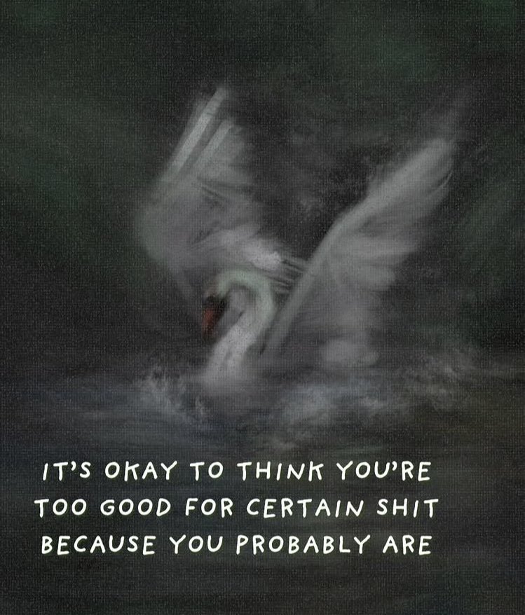 Natism (@his4everz) on Twitter photo 