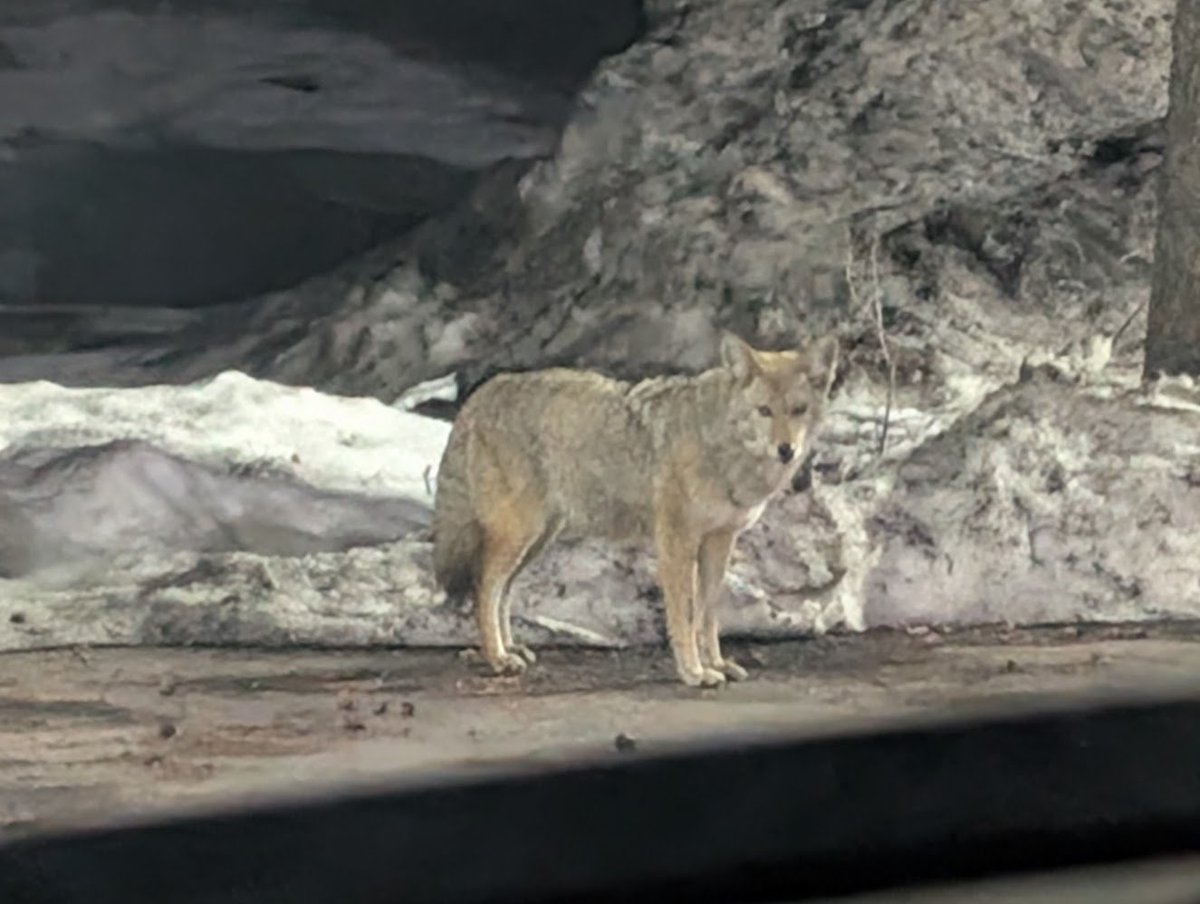 Jesse Singal tweet media