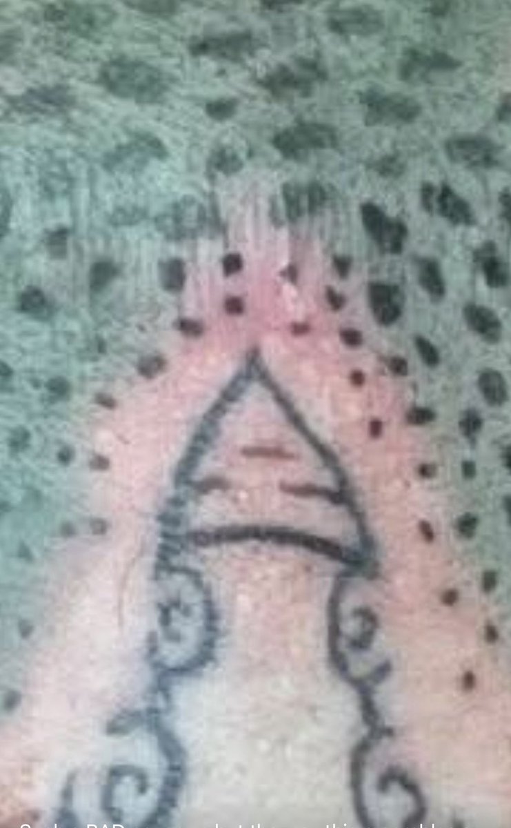 kenleigh tweet media