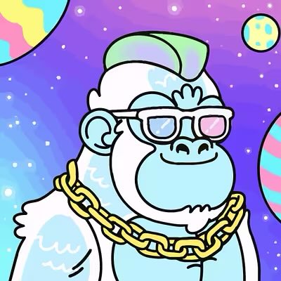 Elite WL tweet media