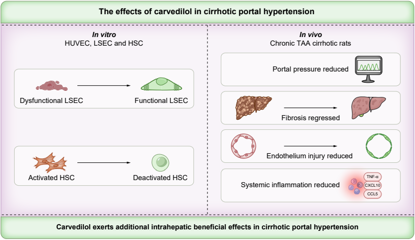 JHEP Reports tweet media
