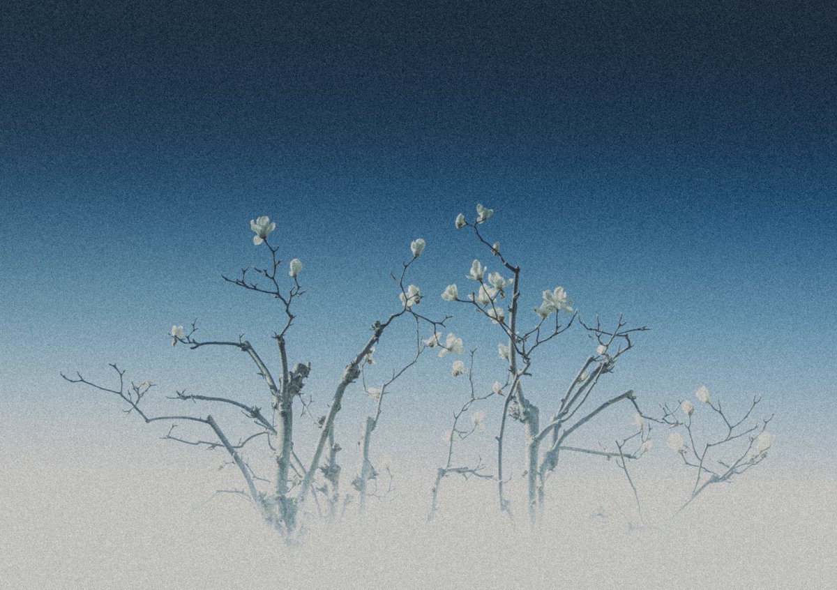 三浦勇人 tweet media