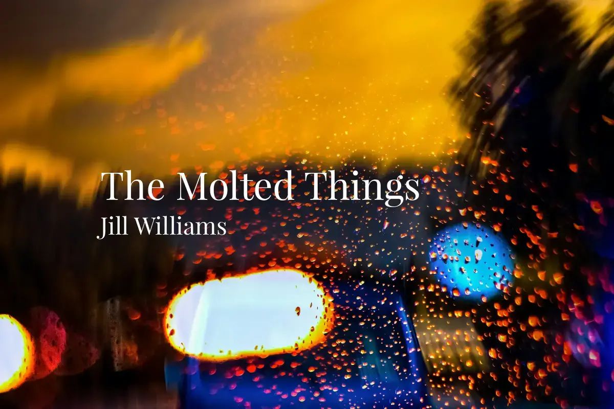 Bristol Noir tweet media