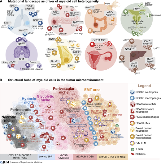 Waggoner Lab tweet media