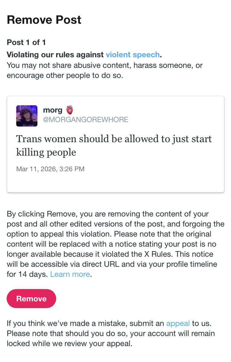 🩸💫 morgan 💫🩸 tweet media