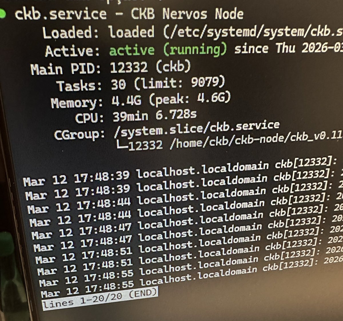 Sergio Rosi tweet media