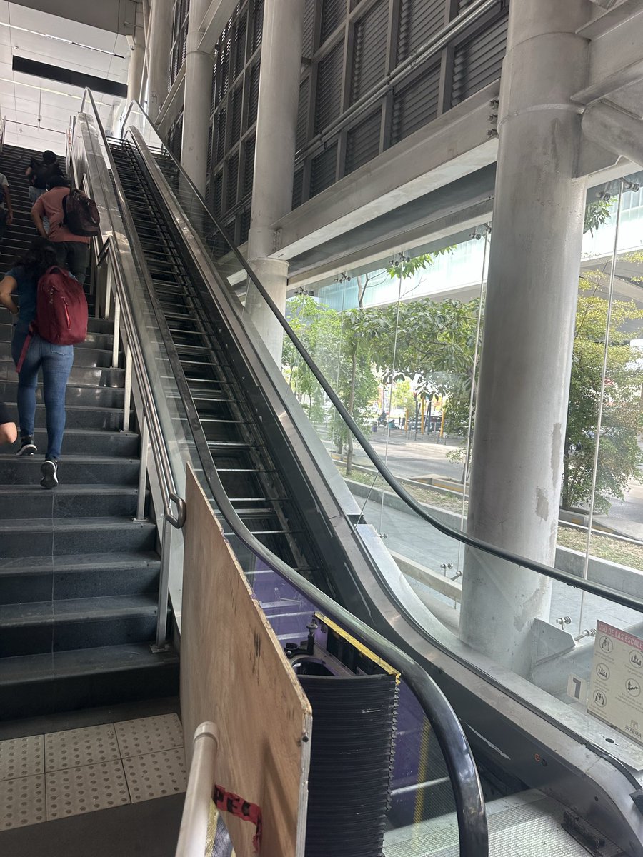 Edith Díaz de León tweet media