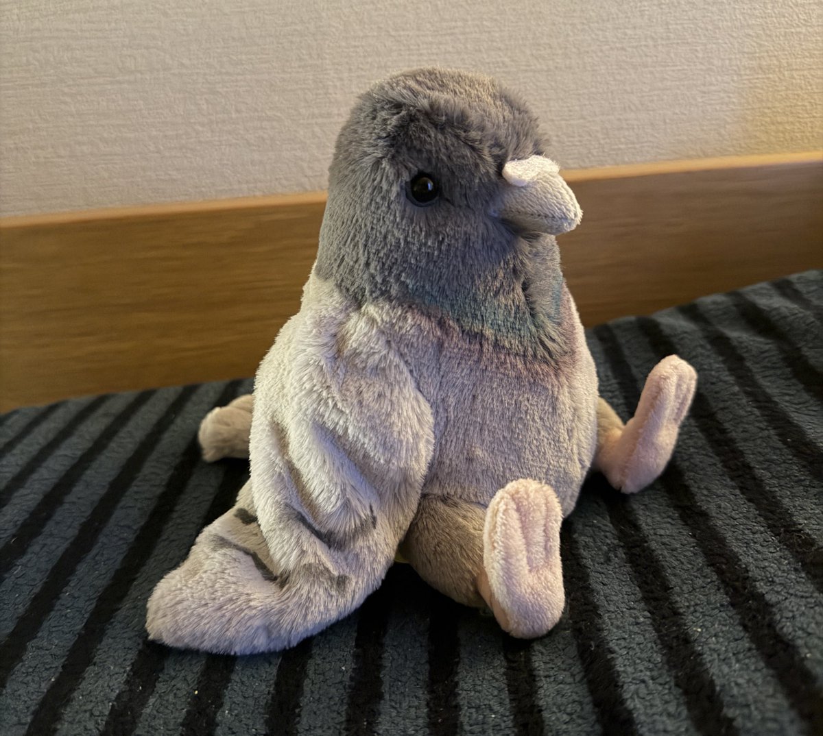 MeiMoegino's tweet photo. @ARIMAREIatMOON わー全く同じ子います！！めちゃかわい��ですよね！！🐦 https://t.co/DIW4QKseoG