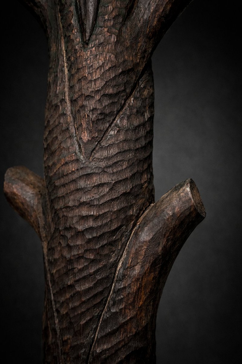 Reales Cofradías Fusionadas tweet media