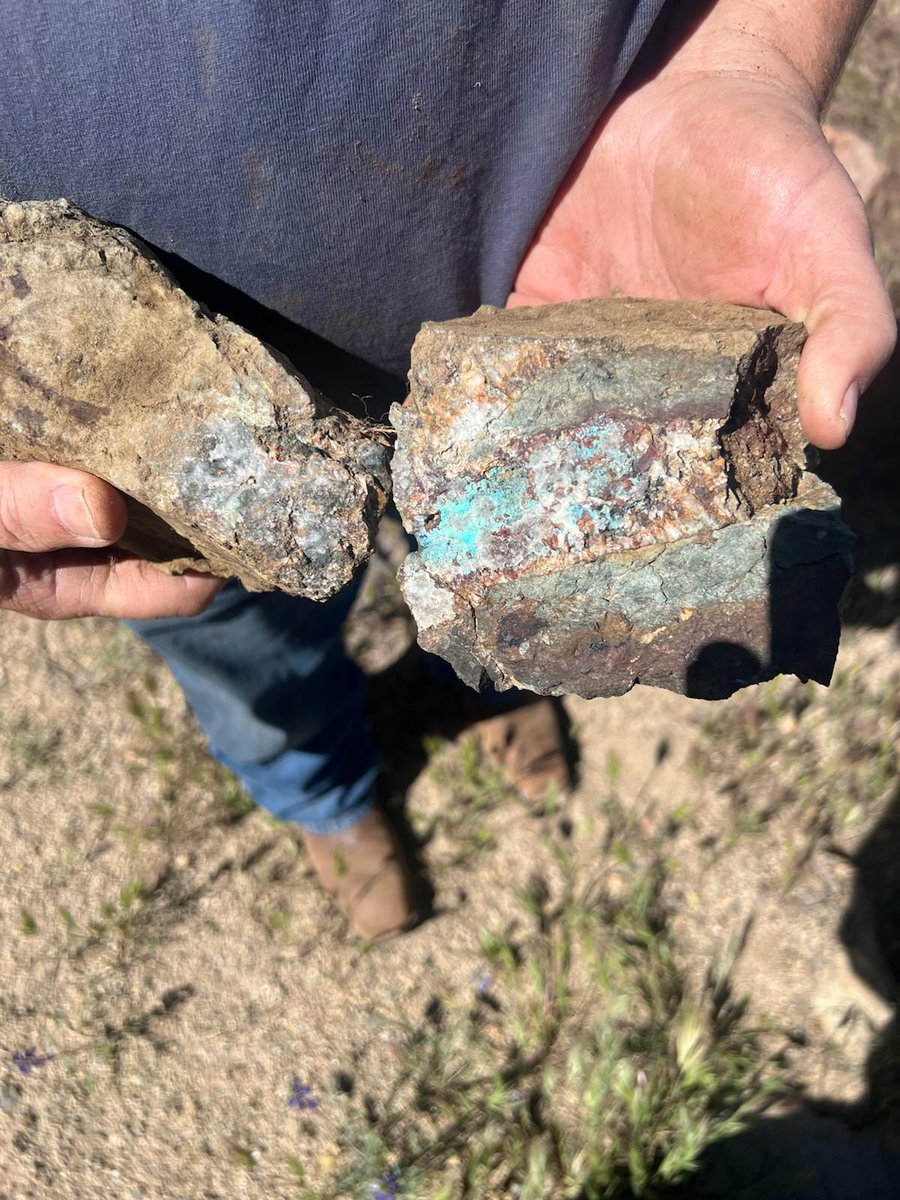 Peter Clausi tweet media