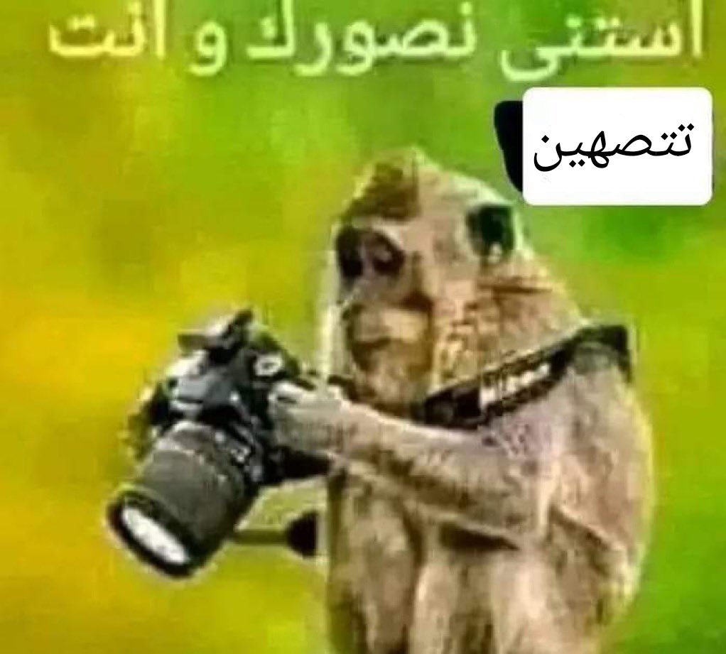 Lebanese010's tweet photo. @kareem_nasser https://t.co/IcQe7gsPBT