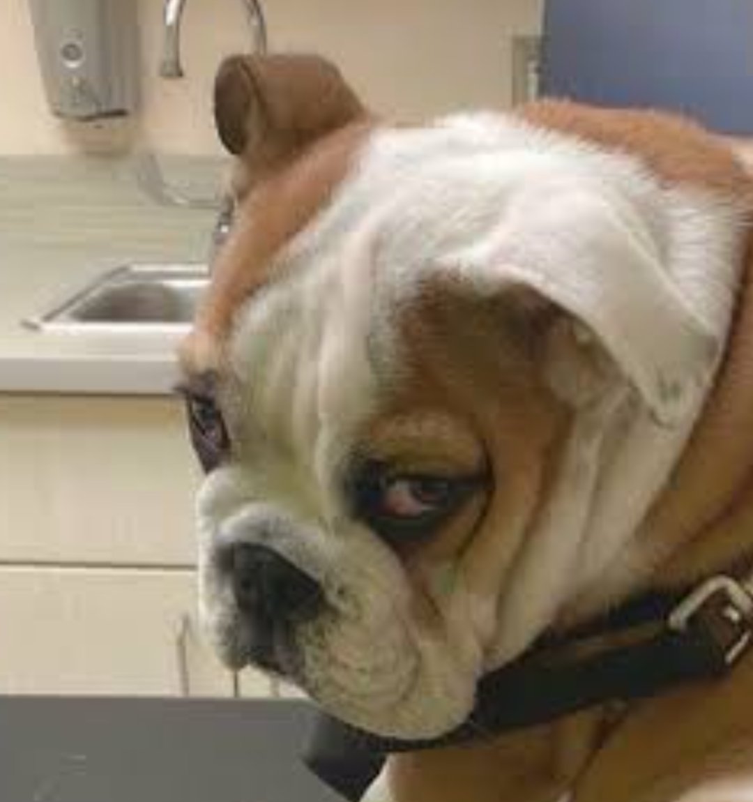 Fred Sanford (unofficial) tweet media