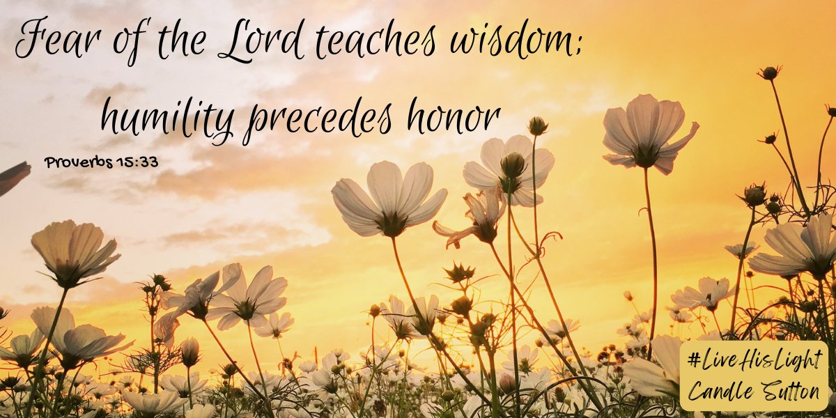 Candle Sutton tweet media