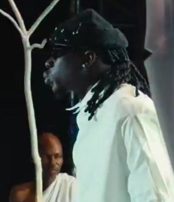 Ayam_Bornbless1 tweet media