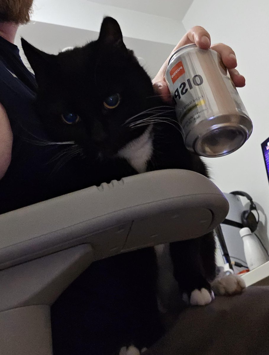 FOCUS 🐴 tweet media