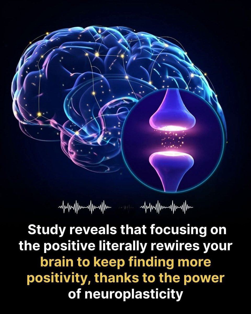 Next Science tweet media