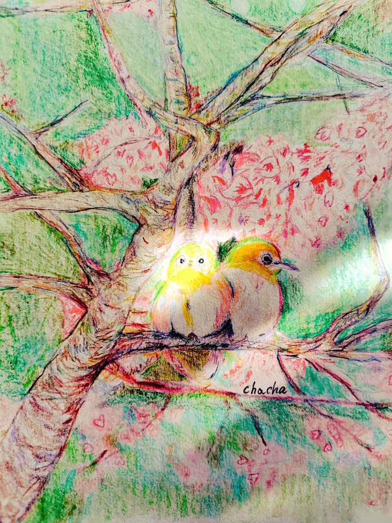 📖🔖

やっと…　ようやく♪

三寒四温　季節の変わり目

明日からは🌸🦜🦜🌸

春のﾎﾟｶﾎﾟｶ陽気が続きそう

困難な時代だけど

そよ風🍃魔法のエール

背中をおしてくれるブランコ♫

陽だまりを味方に

自由な心の羽🧚‍♂️
　守られますように💫🪽

#１秒のほほえみ愛🖼️

すてきな週末を💐

おは茶々