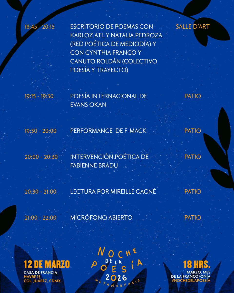 Le Cinéma IFAL tweet media