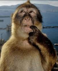 kim woonhak tweet media