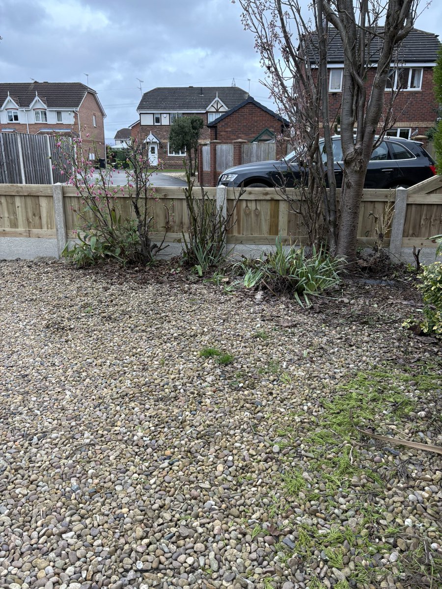 ClareBailey14's tweet photo. A busy day outside, everything was overgrown so I carried on from a couple of weeks ago, tired but things are starting to improve. I definitely deserved the gins 😳 A good job done Mr B ⭐️❤️⭐️ #bailey54 #gardening #smashedit #proud https://t.co/My86wHG06G