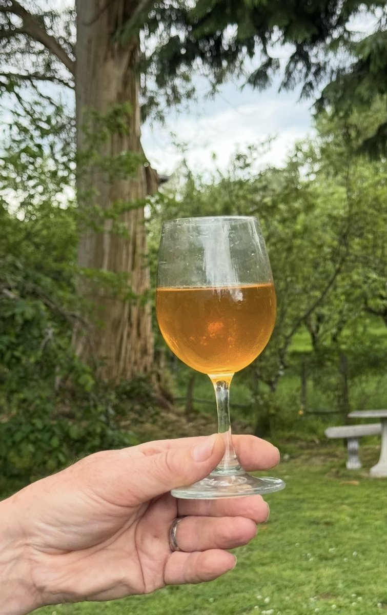 TeePee Cider tweet media