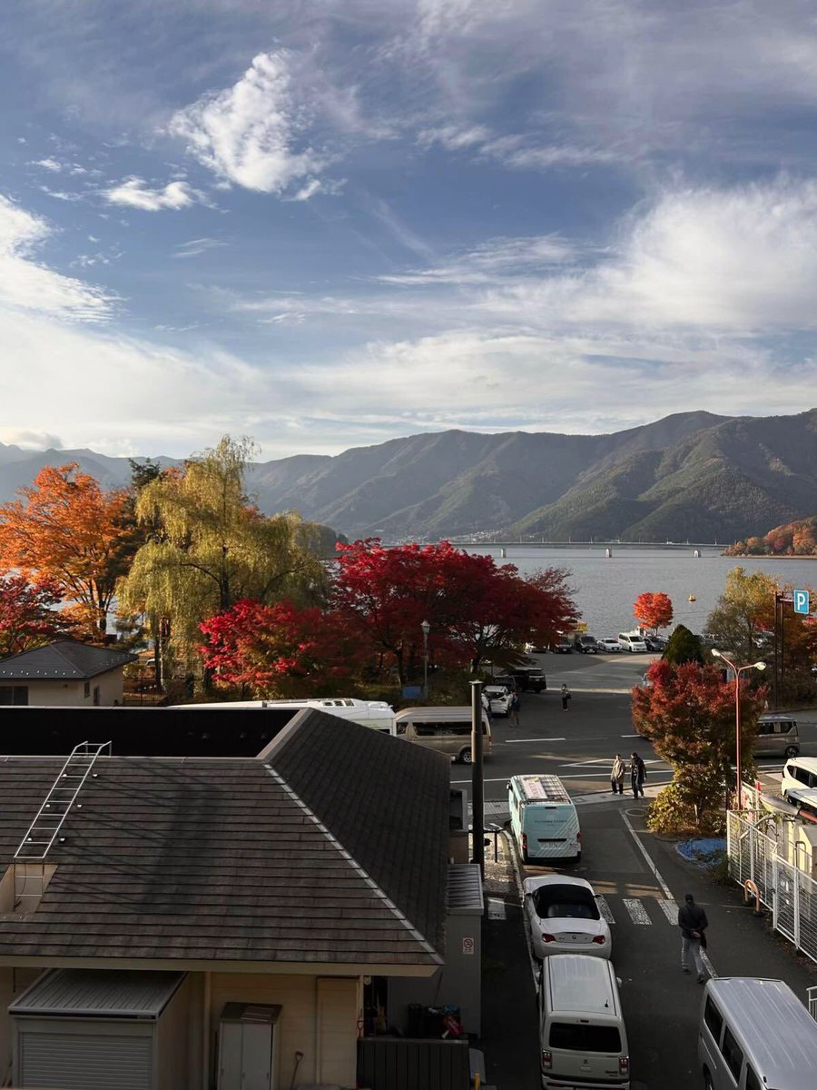 Fae°❀⋆. tweet media