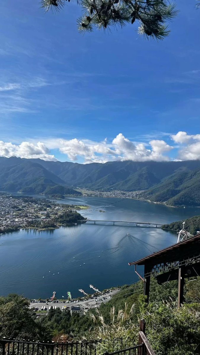 Fae°❀⋆. tweet media