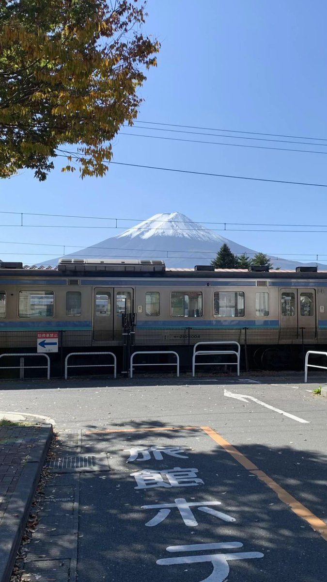 Fae°❀⋆. tweet media