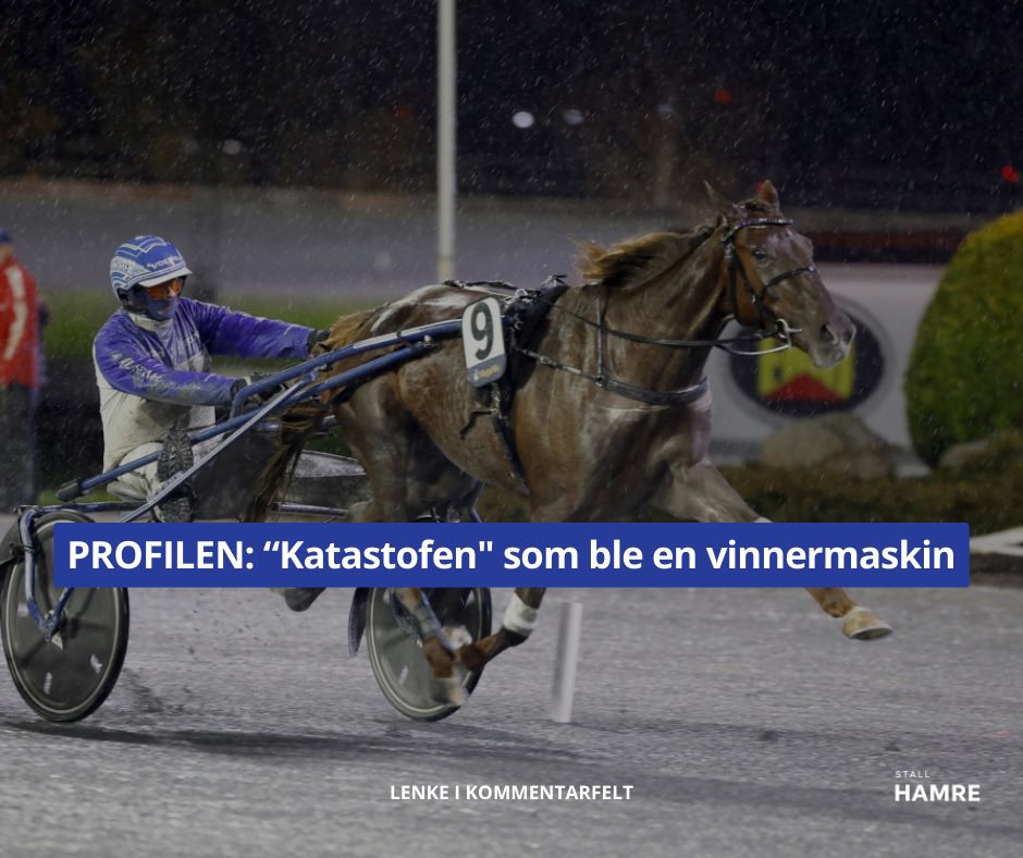 Stall Hamre tweet media