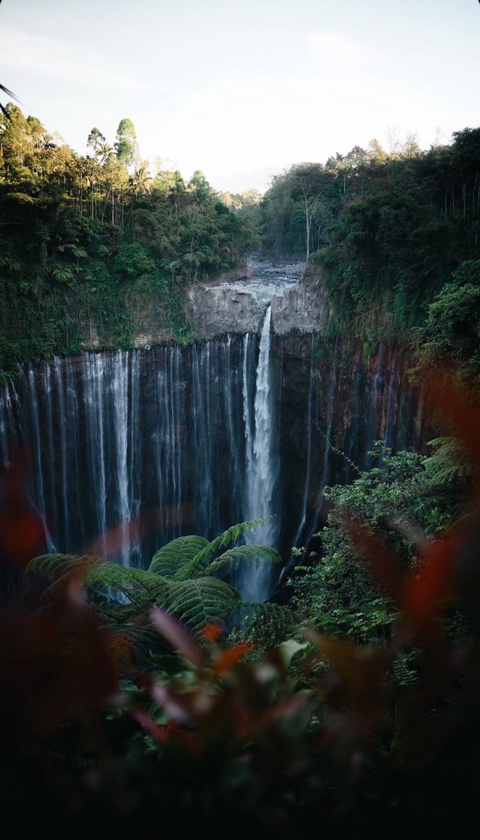 l’Indonésie, sûrement le meilleur pays que j’ai fait.. 🇮🇩
