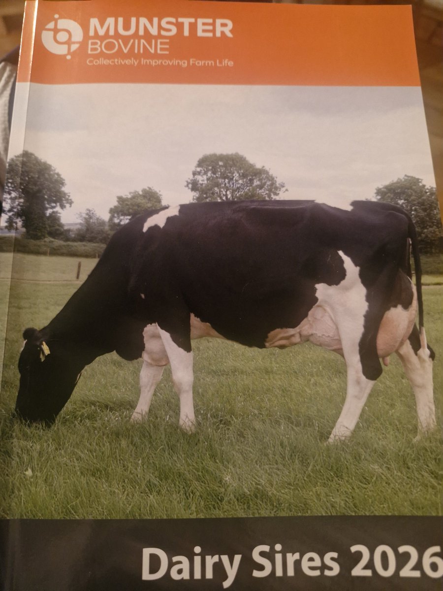 Patrick Mc Carthy tweet media