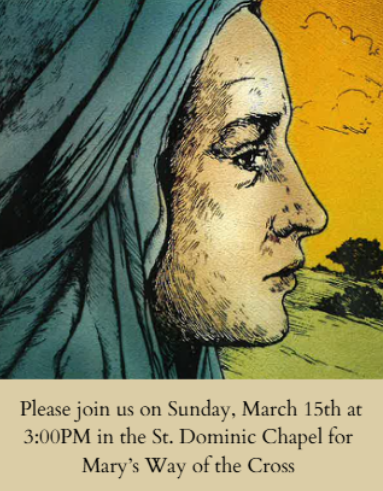 St. Dominic High School tweet media