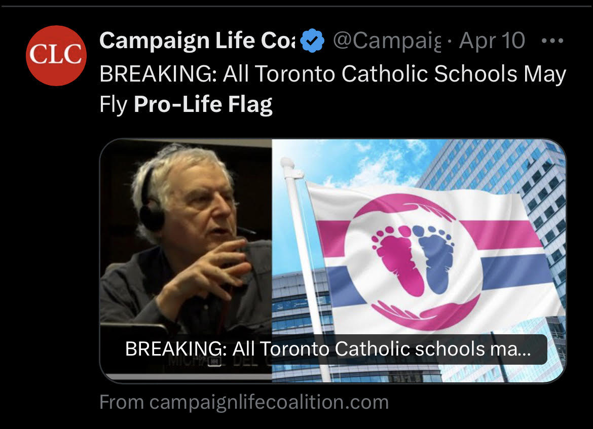 ProLifeFlag's tweet image. TBT!

#prolife #prolifeflag #prolifegeneration

prolifeflag.com/shop